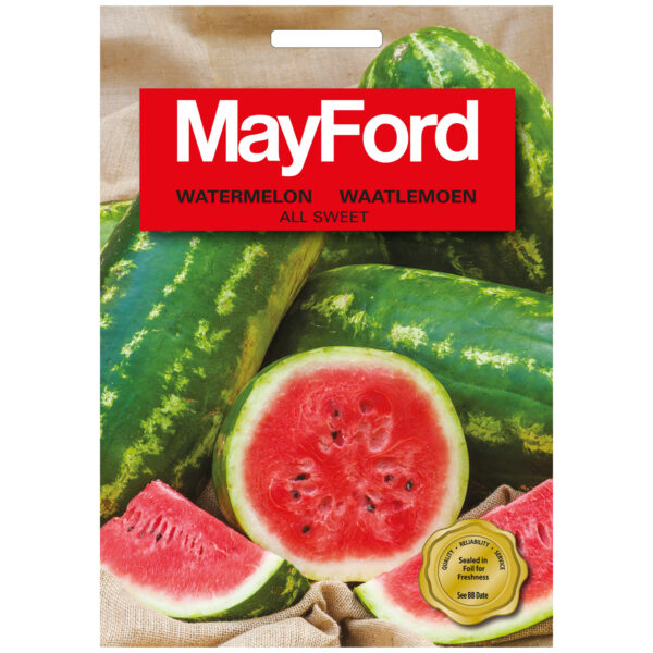 SEEDS WATERMELON ALL SWEET – PKT - MAYFORD – Image 2
