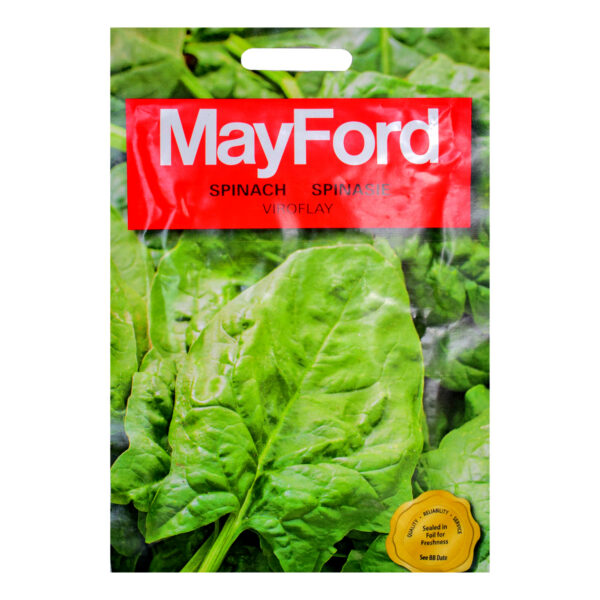 SEEDS SPINACH MONSTROUS VIROFLAY – Image 2