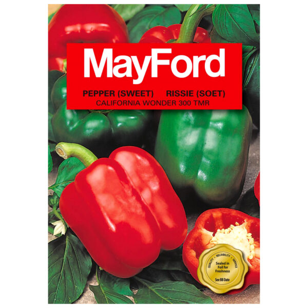 SEEDS PEPPER CALIFORNIA WONDER 300TMR – Image 2