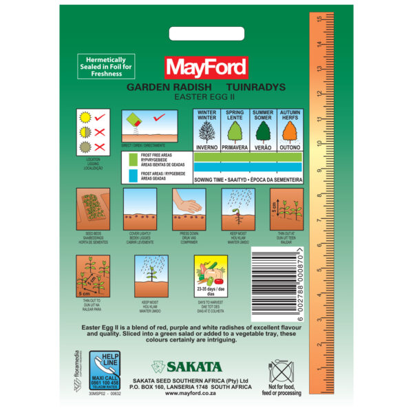 SEEDS RADISH EASTER EGG BLEND II - MayFord – Image 3