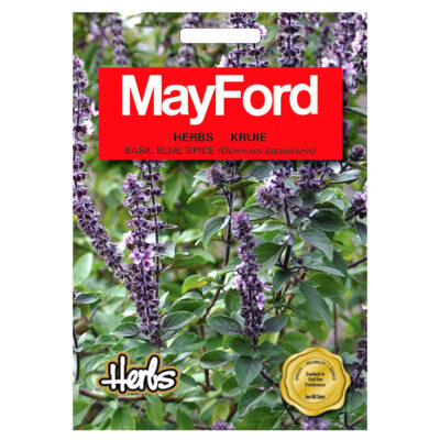 SEEDS OCIMUM BASILICUM BASIL BLUE SPICE - MayFord