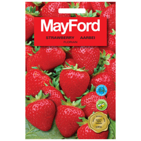 SEEDS STRAWBERRY F1 FLORIAN - MayFord - Image 2