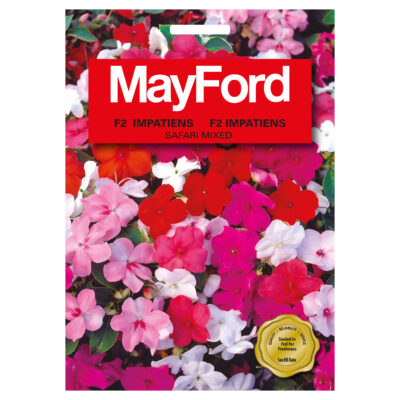 SEEDS FLOWERS IMPATIENS WALLERIANA F2 SAFARI  MIXED - MayFord