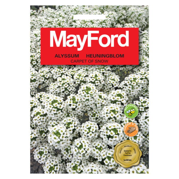 SEEDS FLOWERS ALYSSUM CARPET OF SNOW - MayFord - Image 2
