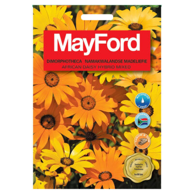 SEEDS FLOWERS DIMORPHOTHECA HYBRID MIXED  AFRICAN DAISY - MayFord