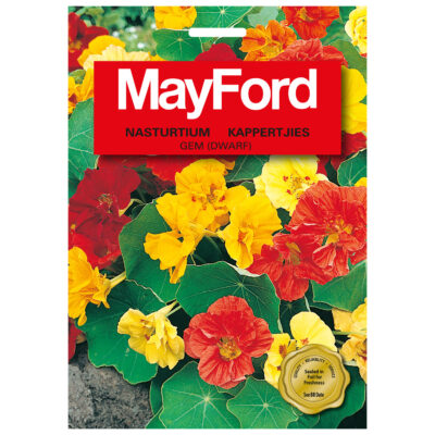 SEEDS FLOWERS TROPAEOLUM NANUM NASTURTIUM  DWARF DOUBLE MIX - MayFord