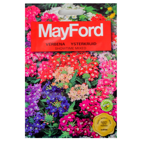 SEEDS FLOWERS VERBENA HYBRIDE SHOWTIME MIXED  – PKT – MAYFOIRD – Image 2