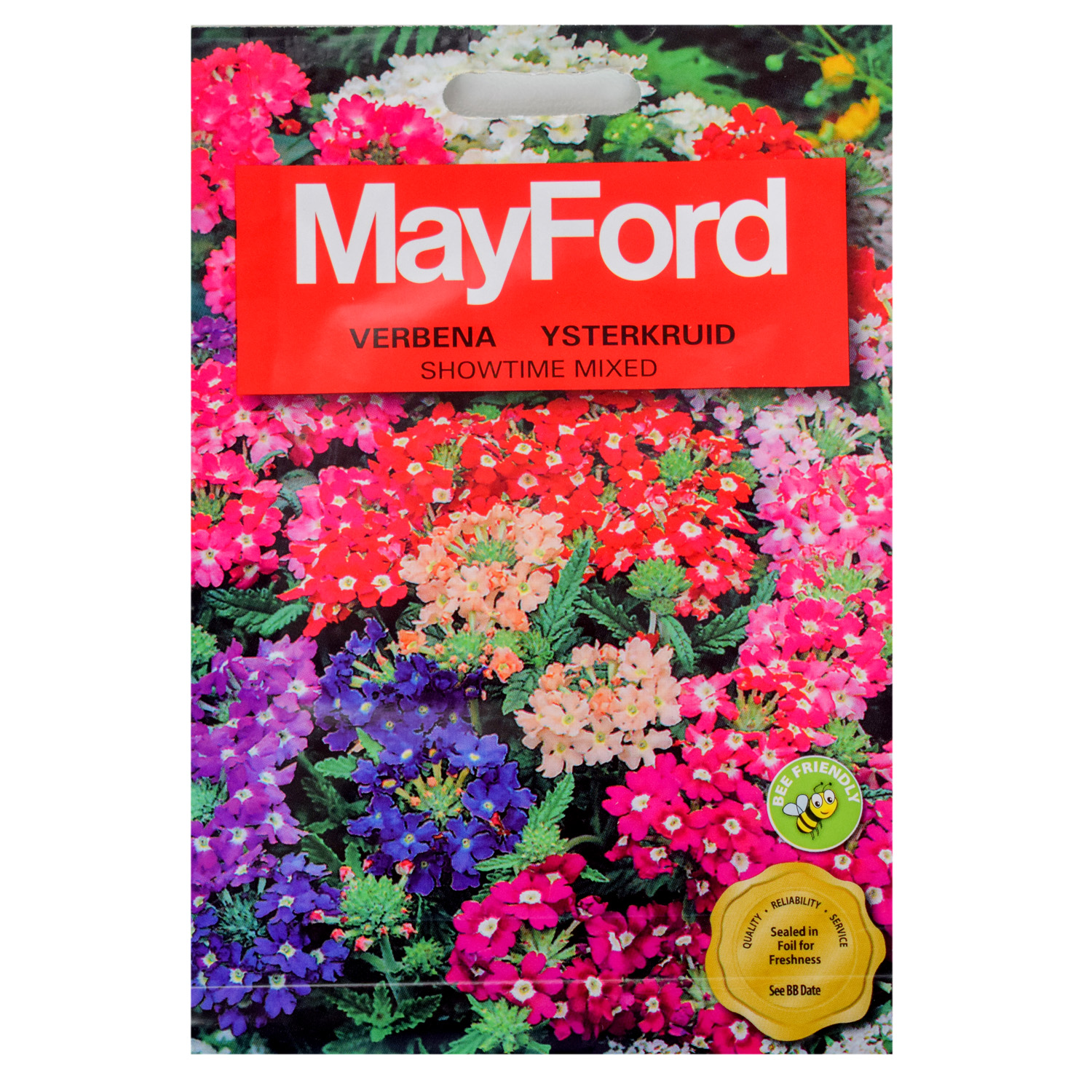 SEEDS FLOWERS VERBENA HYBRIDE SHOWTIME MIXED  – PKT – MAYFOIRD – Image 2