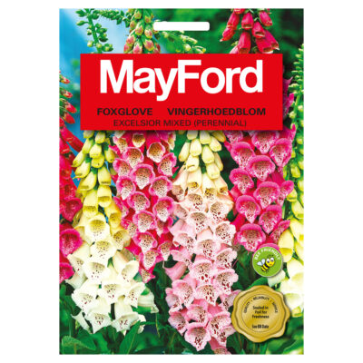 SEEDS FLOWERS FOXGLOVE EXCELSIOR MIXED - MayFord