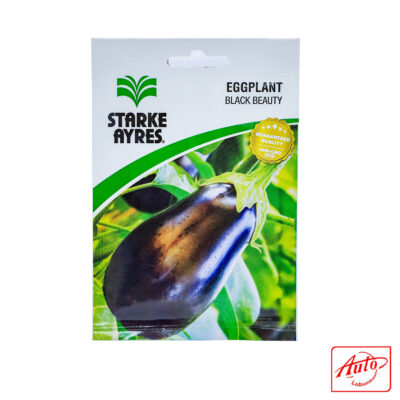 EGGPLANT BLACK BEAUTY SEED