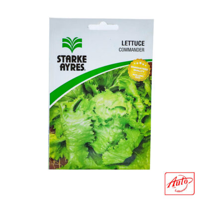 LETTUCE COMMANDER SEEDS