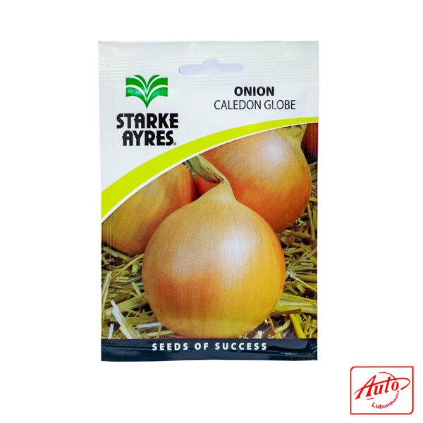 ONION CALEDON GLOBE SEEDS - Image 2