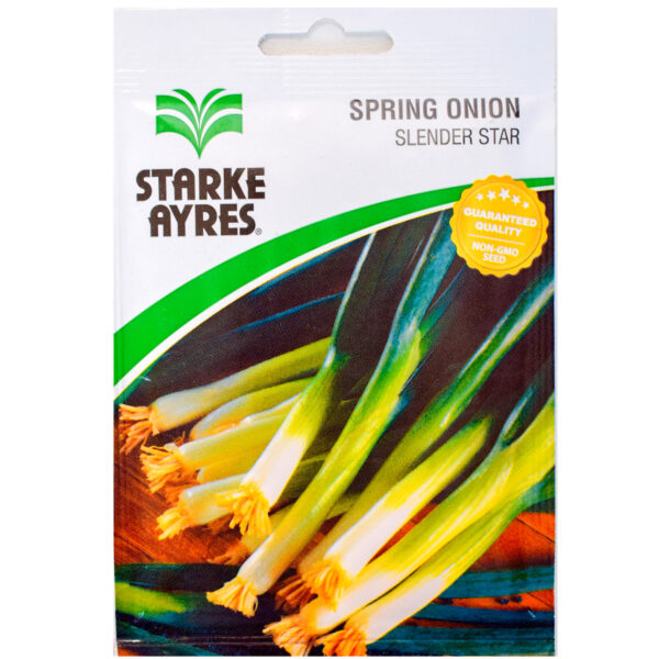SPRING ONION SEEDS SLENDER STARKE – Image 2
