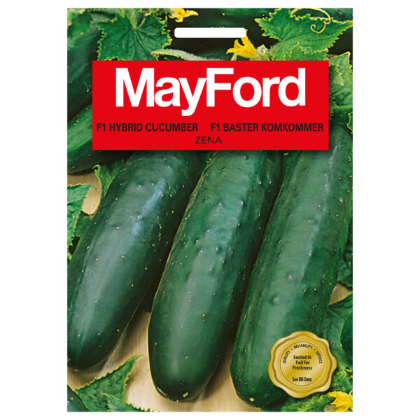 SEEDS CUCUMBER F1 ZENA - MayFord - Image 2