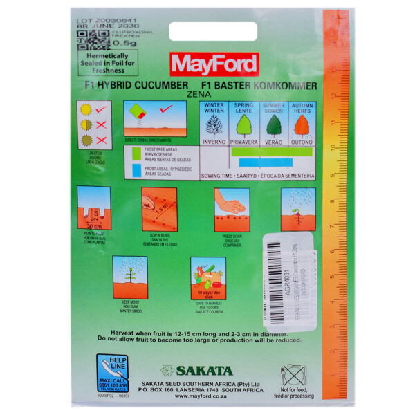 SEEDS CUCUMBER F1 ZENA - MayFord - Image 3