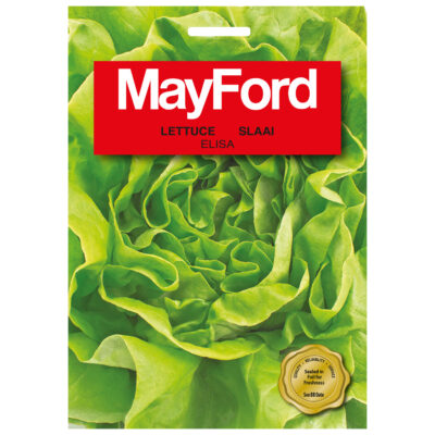 SEEDS LETTUCE ELISA - MayFord