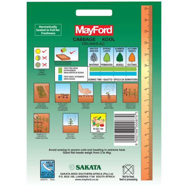 SEEDS CABBAGE DRUMHEAD - MayFord – Image 3