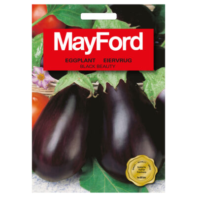 SEEDS EGGPLANT BLACK BEAUTY - MayFord