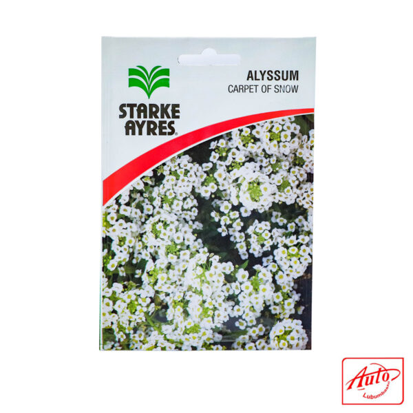 FLOWER SEEDS ALYSSUM CARPET OF SNOW - PKT - Image 2