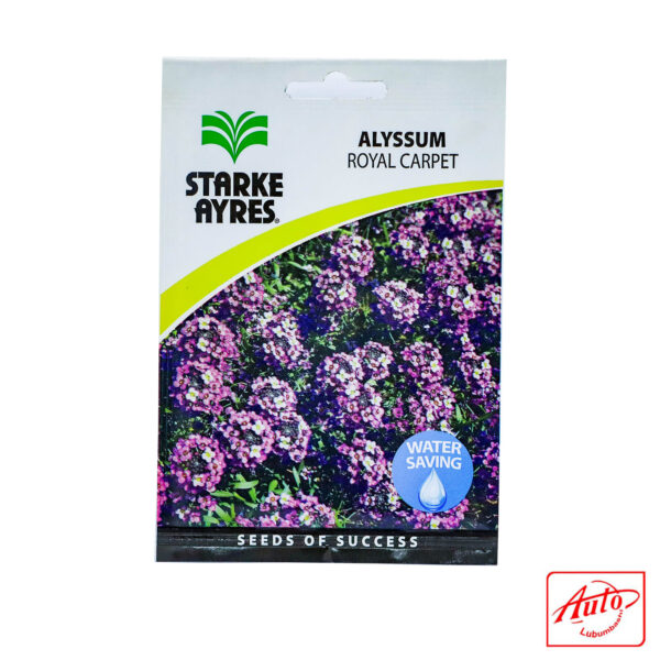 FLOWER SEEDS ALYSSUN ROYAL CARPET – Image 2