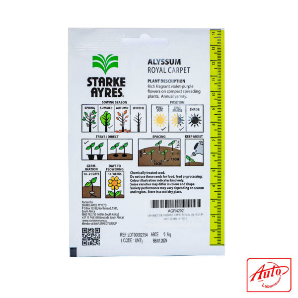 FLOWER SEEDS ALYSSUN ROYAL CARPET – Image 3