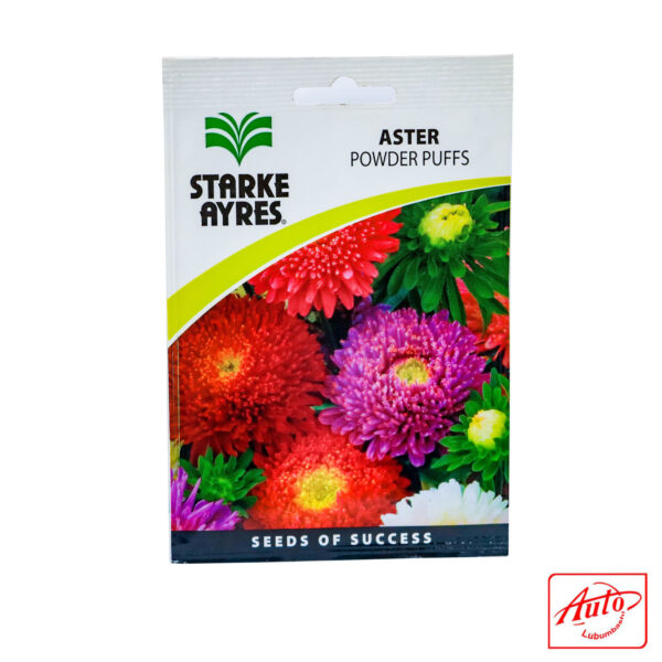 Aster – Powder Puffs (Starke Ayres) – Image 2