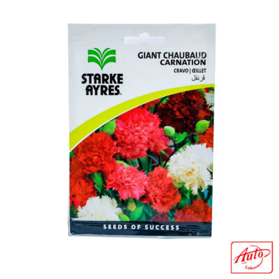 Giant Chaubaud Carnation (Starke Ayres)