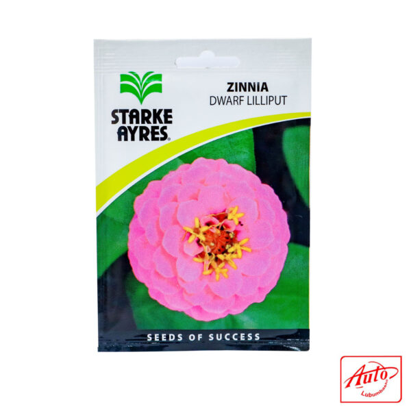 Zinnia – Dwarf Lilliput (Starke Ayres) – Image 2