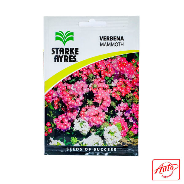 Verbena – Mammoth (Starke Ayres) – Image 2