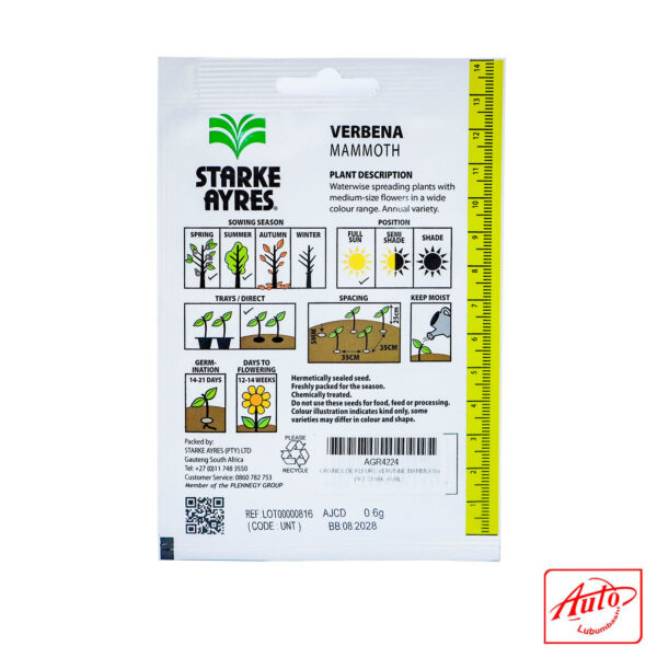 Verbena – Mammoth (Starke Ayres) – Image 3