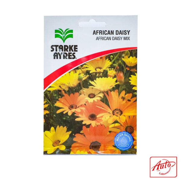 FLOWERS SEEDS AFRICAN DAISY MIXED COLOURS - Image 2