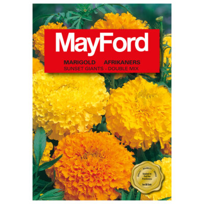 SEEDS FLOWERS TAGETES ERECTA MARIGOLD SUNSET GIANTS MIX - MayFord