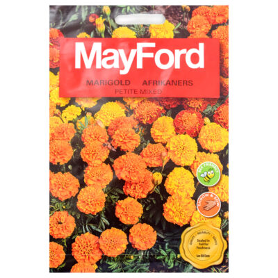 SEEDS FLOWERS TAGETES PATULA MARIGOLD PETITE MIX- MayFord