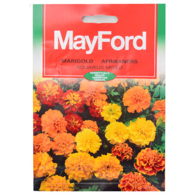 SEEDS FLOWERS TAGETES PATULA MARIGOLD AQUARIUS DOUBLE MIXED- MayFord