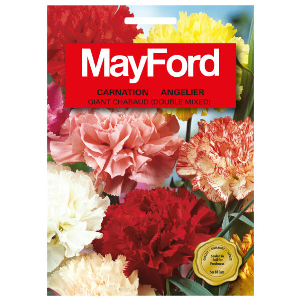 SEEDS FLOWERS DIANTHUS CARYOPHYLLUS CARNATION GIANT CHABAUD - MayFord – Image 2