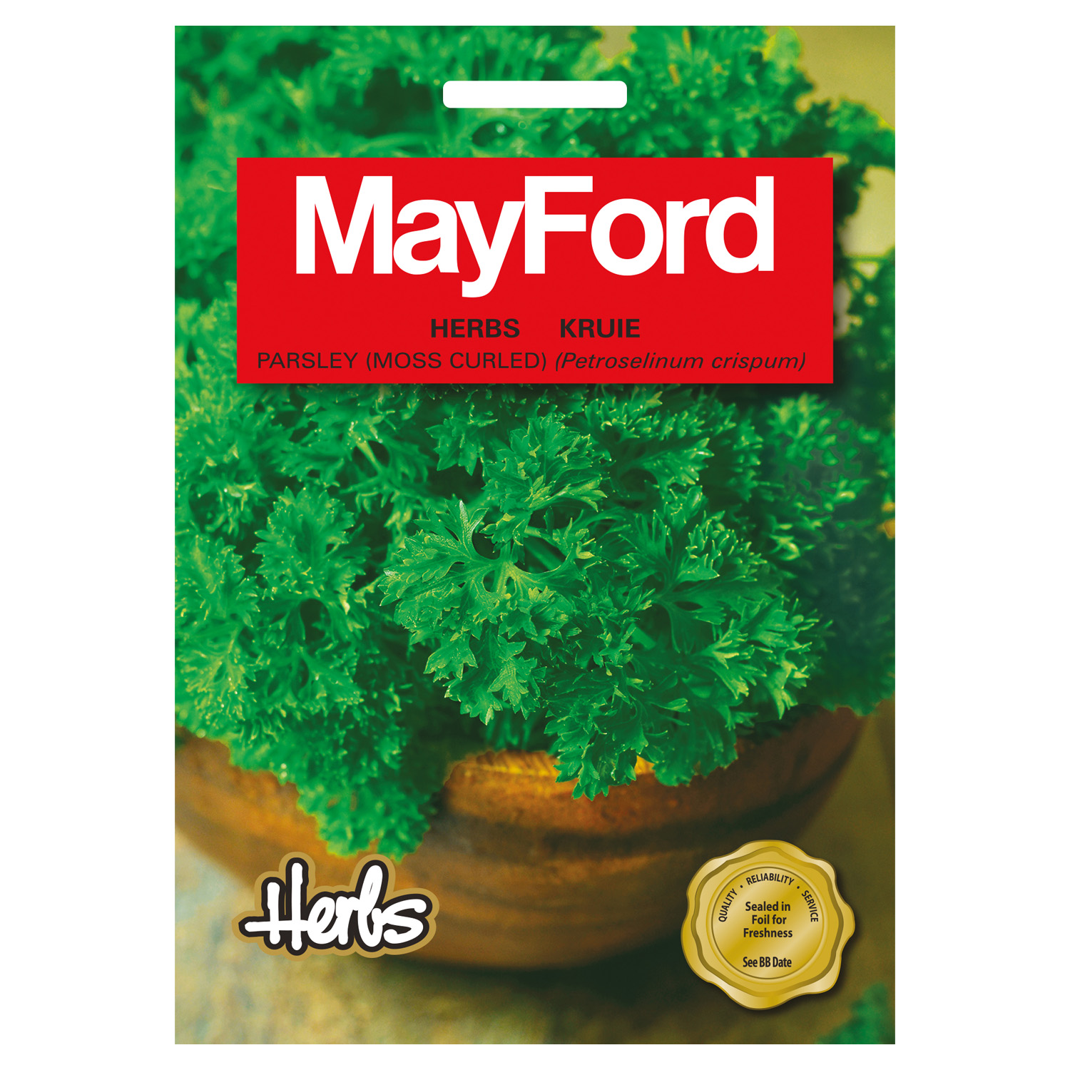 SEEDS HERBS PARSLEY MOSS CURLED - MayFord – Image 2
