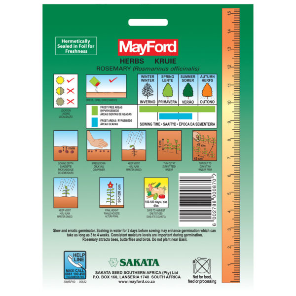 SEEDS HERBS ROSEMARY - MayFord - Image 3