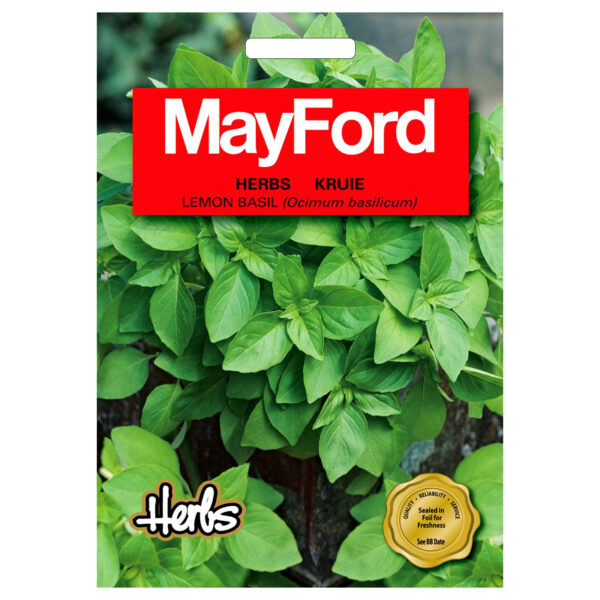 SEEDS HERBS LEMON BASIL- MayFord – Image 2
