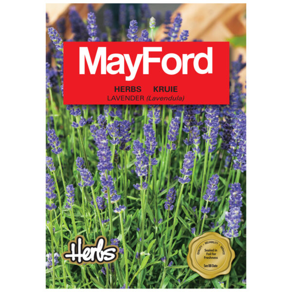 SEEDS HERBS LAVENDER - MayFord – Image 2