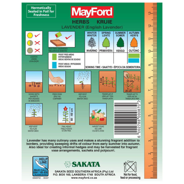 SEEDS HERBS LAVENDER - MayFord – Image 3