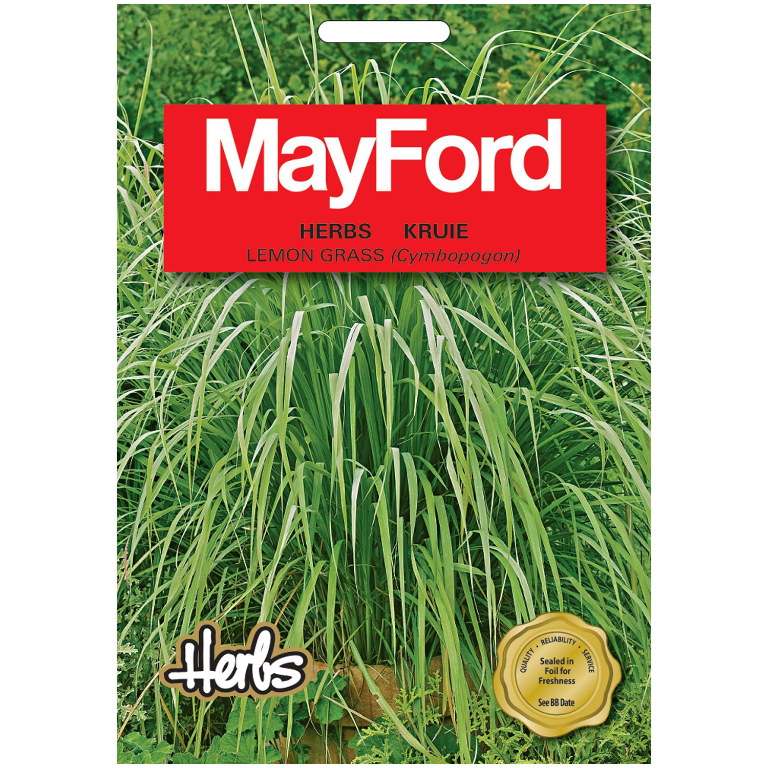 SEEDS HERBS LEMONGRASS – PKT – MAYFORD – Image 2