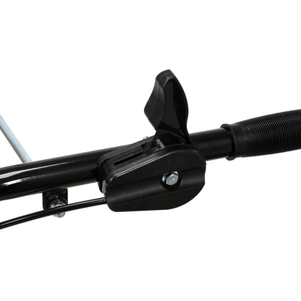 Gasoline Tiller 3.6 kW - Image 5