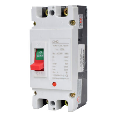 CM1 Molded Case Circuit Breaker – YCM1-125L (2-Pole, 100A)